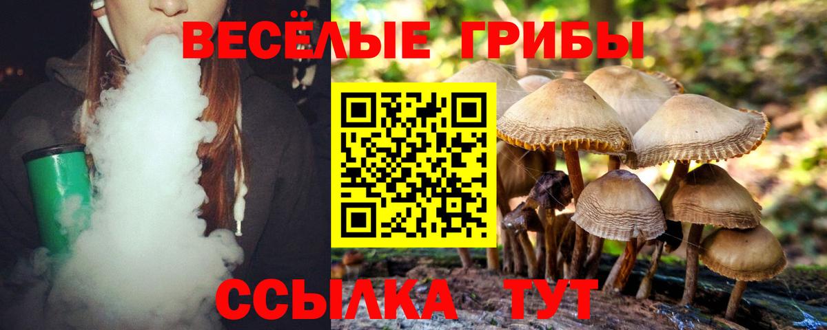 Галлюциногенные грибы Psilocybine cubensis  Вход с VPN  Всеволожск 
